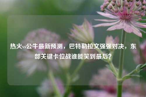 热火vs公牛最新预测,巴特勒拉文强强对决,东部关键卡位战谁能笑到最后?