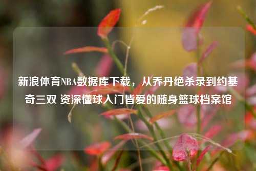 新浪体育NBA数据库下载,从乔丹绝杀录到约基奇三双 资深懂球入门皆爱的随身篮球档案馆