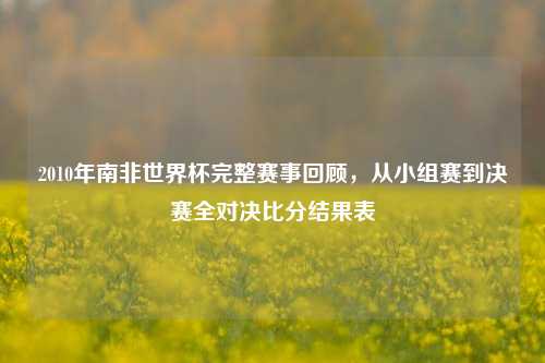 2010年南非世界杯完整赛事回顾,从小组赛到决赛全对决比分结果表