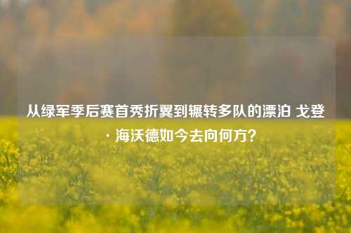 从绿军季后赛首秀折翼到辗转多队的漂泊 戈登·海沃德如今去向何方?