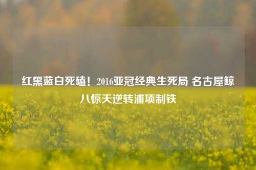 红黑蓝白死磕!2016亚冠经典生死局 名古屋鲸八惊天逆转浦项制铁