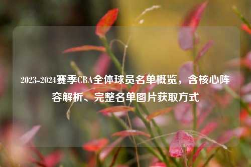 2023-2024赛季CBA全体球员名单概览,含核心阵容解析、完整名单图片获取方式
