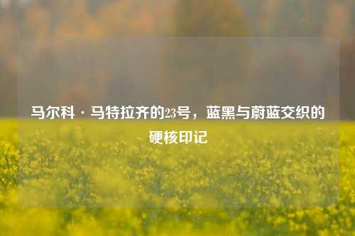 马尔科·马特拉齐的23号,蓝黑与蔚蓝交织的硬核印记