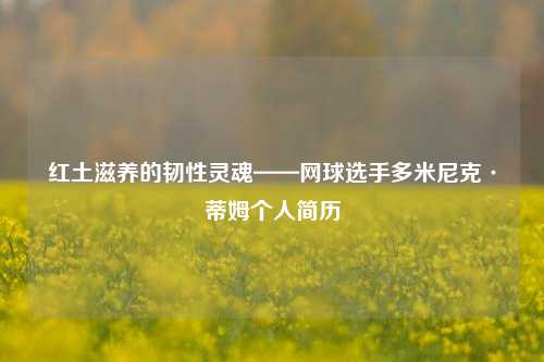 红土滋养的韧性灵魂——网球选手多米尼克·蒂姆个人简历