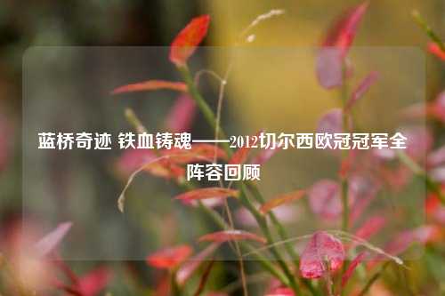蓝桥奇迹 铁血铸魂——2012切尔西欧冠冠军全阵容回顾