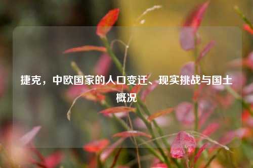 捷克,中欧国家的人口变迁、现实挑战与国土概况