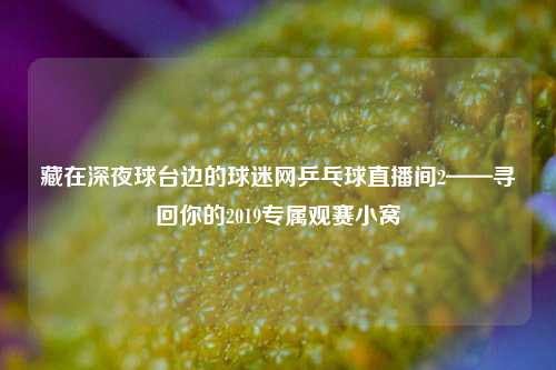 藏在深夜球台边的球迷网乒乓球直播间2——寻回你的2019专属观赛小窝