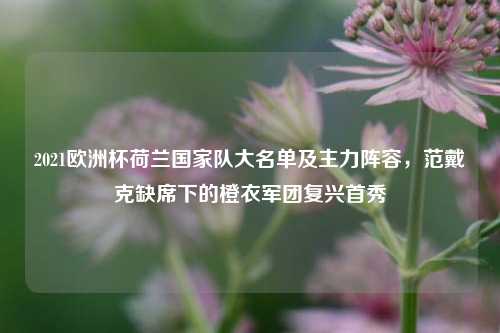 2021欧洲杯荷兰国家队大名单及主力阵容,范戴克缺席下的橙衣军团复兴首秀