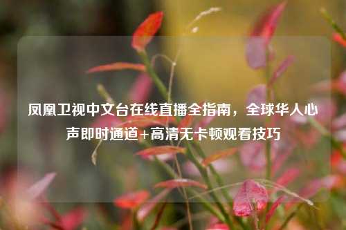 凤凰卫视中文台在线直播全指南,全球华人心声即时通道+高清无卡顿观看技巧