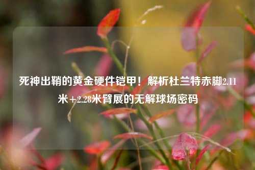 死神出鞘的黄金硬件铠甲!解析杜兰特赤脚2.11米+2.28米臂展的无解球场密码