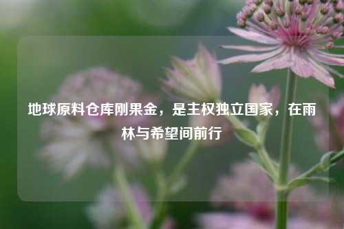 地球原料仓库刚果金,是***独立国家,在雨林与希望间前行