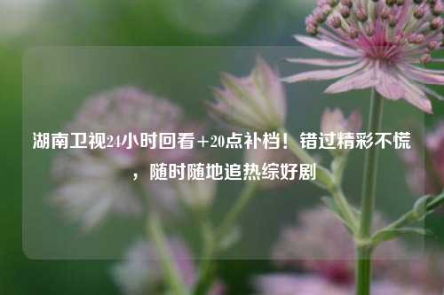 湖南卫视24小时回看+20点补档!错过精彩不慌,随时随地追热综好剧